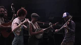 Bold Jack Donahue Live in the Dorrigo Trainyard [upl. by Caswell]