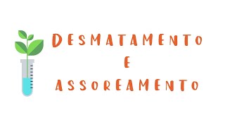 Desmatamento e Assoreamento [upl. by Gabbi72]