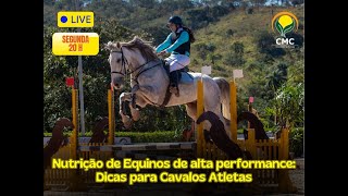 NUTRIÇÃO DE EQUINOS DE ALTA PERFORMANCE DICAS PARA CAVALOS ATLETAS [upl. by Mallina231]