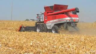 Massey Ferguson 9895 amp 9540 Combine amp New Kinze 1100 Track Grain Cart Farm Progress Show 2011 [upl. by Nashom]