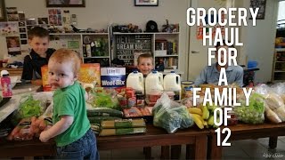 Grocery Haul for Australian Family of 12 [upl. by Halie527]