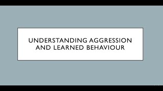 The social learning theory of aggression [upl. by Rintoul935]