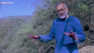 Aravalli  Story of a dying mountain range [upl. by Elsworth]