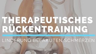 Professionelles Rückentraining gegen akute Schmerzen [upl. by Dennett]