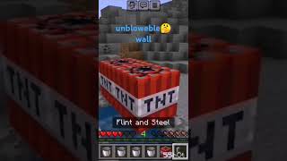 cripper resistant wall minecraft milliondollarbaby capcut viral [upl. by Philpot160]