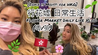 Joyce is Moist for HKG 行花墟 日常生活 Vlog Flower Market Daily Life Vlog 粵英） [upl. by Sainana]