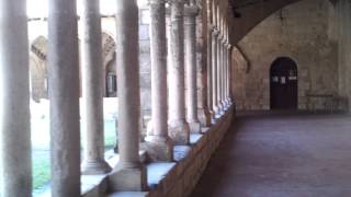 Cloître de léglise collégiale de SaintEmilion [upl. by Willabella]