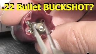 Turning 22 Hollowpoint bullets into BUCKSHOT  Do they work [upl. by Madea]