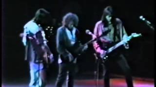 Boston  Live at Hamilton Ontario 1988 [upl. by Anders426]