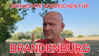 GRÜNES JAMMERTAL UND HOFFNUNG IN BRANDENBURG 👍 [upl. by Horatio]