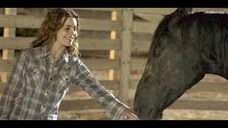 Flicka Full Movie Fact Review amp Information  Alison Lohman  Tim McGraw [upl. by Gow]