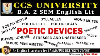 Poetic Devices  Poetic Devices In English Literature  Poetic Devices In Hindi BA 2 sem CCSU [upl. by Nollad]