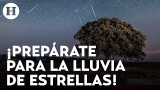 ¿Cuándo cómo y dónde observar la espectacular lluvia de Perseidas en México Estos son los detalles [upl. by Goldi]