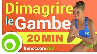 Cardio per Dimagrire Gambe e Cosce  20 Minuti [upl. by Ogren]