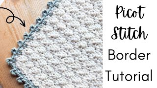 Easy Crochet Picot Stitch Border Tutorial for Beginners [upl. by Ttocserp64]