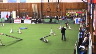 Agility jack russell terrier  Babsi 012013 [upl. by Nnaylime524]