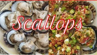 COOKING VLOG‼️How To Cook This Amazing Hot amp Spicy Scallop Delicious Seafood Recipe🙂 seafoods [upl. by Anavoig]