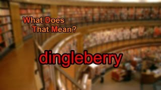 What does dingleberry mean [upl. by Assillam893]