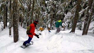 Exploring Whistlers Craziest Tree Runs Million Dollar Ridge Khyber Pass [upl. by Euginomod767]