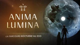 Lexpérience Anima Lumina au zoo de StFélicien [upl. by Elwaine]