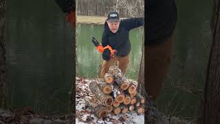 Best Mini Chainsaw Ive Tested So Far [upl. by Acceb]