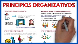 Los 12 PRINCIPIOS de la ORGANIZACION EMPRESARIAL 🎯  Economía de la Empresa 140 [upl. by Witcher]