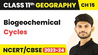 Class 11 Geography Chapter 15  Biogeochemical Cycles  Life On The Earth [upl. by Ratep]