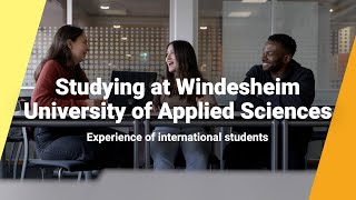 Studying abroad at Windesheim the experiences of international students [upl. by Mixam459]