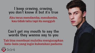 Imagination  Shawn Mendes Lyrics video dan terjemahan [upl. by Orel]