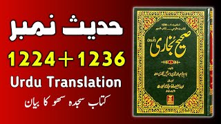 Sahih Bukhari Hadees No1224 to 1236  Hadees sharif urdu hindi translation By Ask Hadith [upl. by Windy]