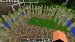 Minecraft  Kanciasta Codziennosc 005 [upl. by Leen]