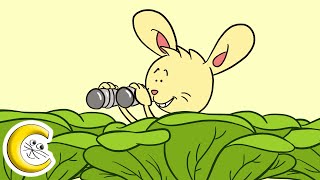 Le petit lapin sest sauvé dans le jardin  Paroles [upl. by Vedette]