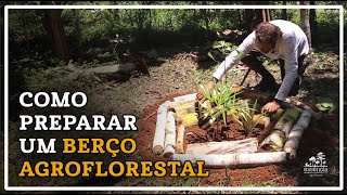 Os segredos para cultivar um berço agroflorestal produtivo [upl. by Sylvie37]