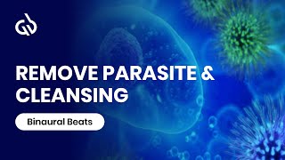 Healing Frequency Music Parasite Frequency Cleanse Digestion Frequency [upl. by Erialc206]