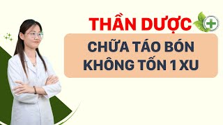 7 loại rau củ là vua trị táo bón người lớn hiệu quả  Tuấn Thầy Thuốc [upl. by Nodmac]