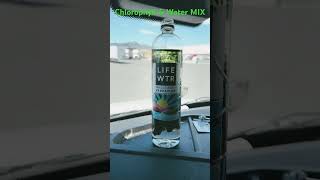 Chlorophyll and Water Mixture super clean and green chlorophyll water drsebiherbs health [upl. by Jovita]