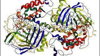 MBM Lec3  PROTEINS [upl. by Sisson]