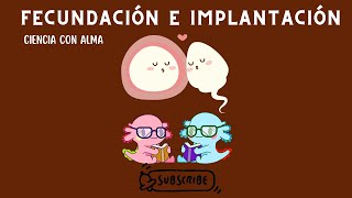 FECUNDACIÓN E IMPLANTACIÓN DEL EMBRIÓN HUMANO [upl. by Anelyak]