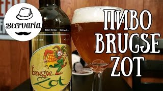 Пиво Brugse Zot beervaria [upl. by Ayyidas167]