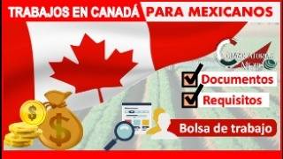 🚨Oportunidades de Trabajo y Viaje en Canadá Descubre el Programa IEC [upl. by Bashuk]