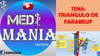 ⭕ TRIANGULO DE FARABEUF ⭕ TRIANGULOS DEL CUELLO  BIFURCACION DE LA ART CAROTIDA COMUN  MEDIMANIA [upl. by Lawrence]