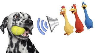 Dog Squeaky Toy  Sounds that attract your dogs attention HQ [upl. by Sibyls]