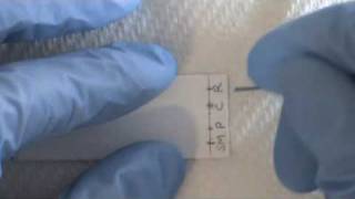 Thin Layer Chromatography  TLC [upl. by Fanechka]