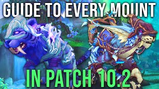 Every Mount Coming in 102 and How to Get Them  Guardians of the Dream WoW [upl. by Ynos]