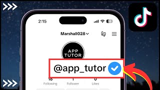 How to Get VERIFIED on TikTok 2024 [upl. by Nitsug]