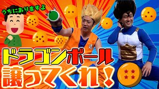 【男の夢】本当にドラゴンボール７つ集めてみた！！！ [upl. by Nanahs]