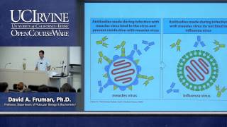 Biological Sciences M121 Immunology with Hematology Lecture 05 Principles of Adaptive Immunity [upl. by Reivaj691]