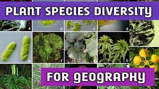 PLANT SPECIES DIVERSITY DETERMINATION BY MATRIX METHOD ROYGEOGRAPHY [upl. by Okeim392]