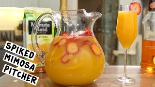 Spiked Mimosa Pitcher [upl. by Nuawad]