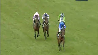 HURRICANE FLY is on top once again as he wins the 2013 Champion Hurdle at Cheltenham  Racing TV [upl. by Johannes]